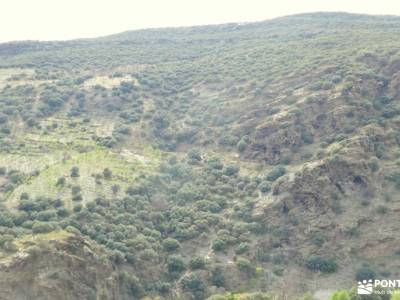 Alpujarra Almeriense - Sur de Sierra Nevada [Semana Santa] senderismo valle de tena puig campana sen